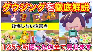 【ぽこあポケモン】ダウジングの全てを徹底解説！やり方・後悔しないための注意点・入手アイテム全て紹介！