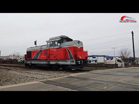 LDH1250 81-0925-3 Transferoviar Grup din Oradea catre Alesd in Ajunul Craciunului -24 Decembrie 2024