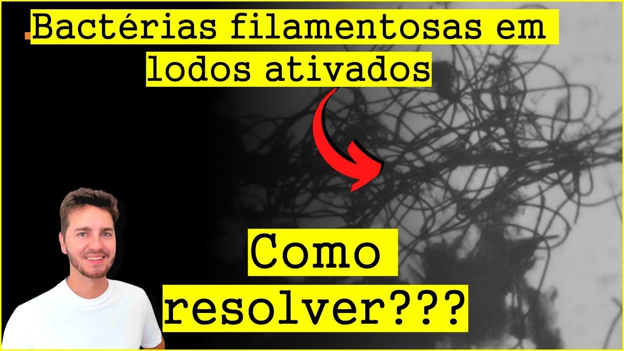 Bulking de filamentosas em lodos ativados: como resolver?
