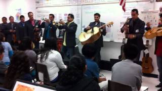 Mariachi Los Toros- El Cascabel