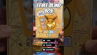 Opening a Chinese Eevee Blind Box!