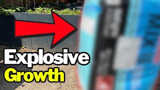 Your Plants Aren’t Growing? Add These 3 Things Today