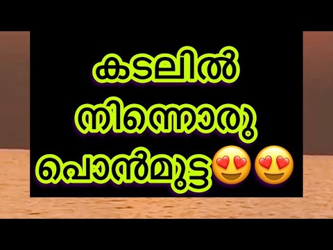 | Beautiful sunrise from Indian Ocean | Golden Egg of Nature | Suchithra Shaji |