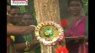 Women  tied rakhis on trees in Jamshedpur