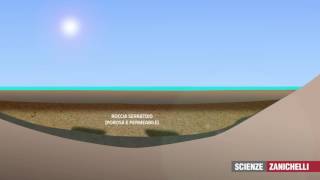 La formazione di un giacimento di petrolio (tratto da Il racconto della Terra)