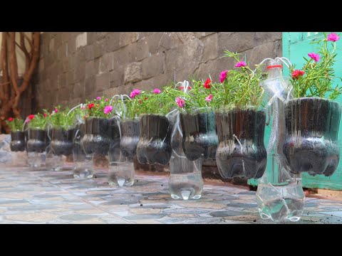 Amazing ideas for Making Flower Pot Recycling plastic Bottles into flower Pot