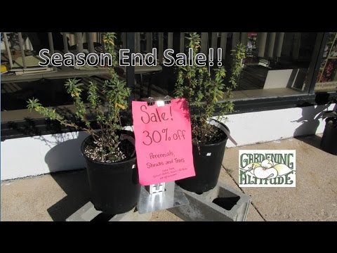 End of Season Sale 2015- Gardening With Altitude