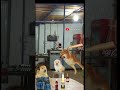 Elakkiya Elakkiya Tik Tok New Video Shorts Elakkiya Official Channel Shorts