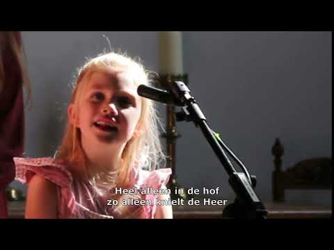 Heel alleen in de hof