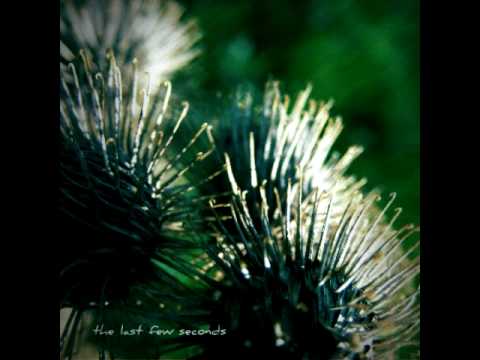Linnus - The Last Few Seconds