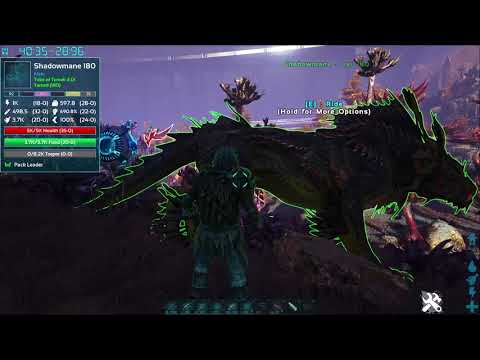 Ark:Survival evolved jak oswoić shadowmane i nie tylko