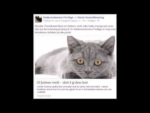 KVF Videonyheter090715