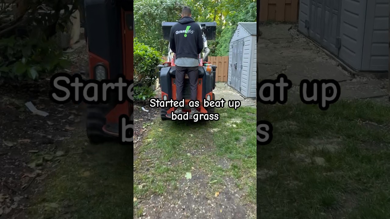 Muddy Yard to Perfect Lawn — Artificial Turf Solution