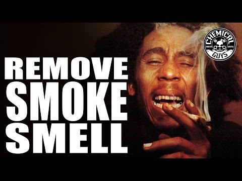 Remove Cigarette Smells From Your Car - Chemical Guys Odor Eliminators