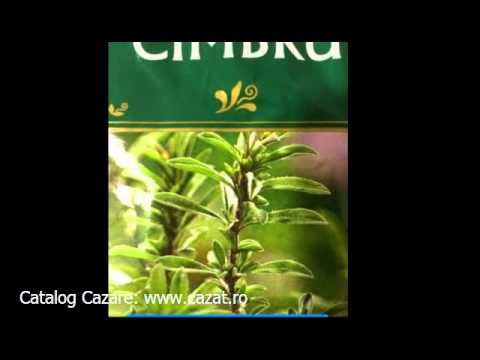 Cazare Chintinici, Neamt - Cazat.ro