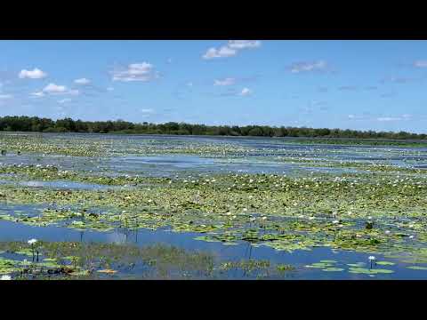 MamuKala Wetlands, Kakadu National Park, Northern Territory