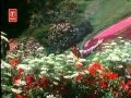 Tum Se Hamara Wada Full Song Film Jeena Teri Gali Mein