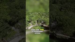 Exploring the Mystical Beauty of an Ancient Natural Sinkhole