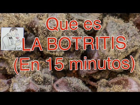 , title : '(71) Que es LA BOTRITIS (en 15 minutos)'