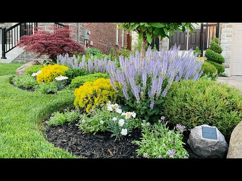Talking tour of Tracy’s late spring garden // Full Garden Tour with Plant Names - Early June 2021