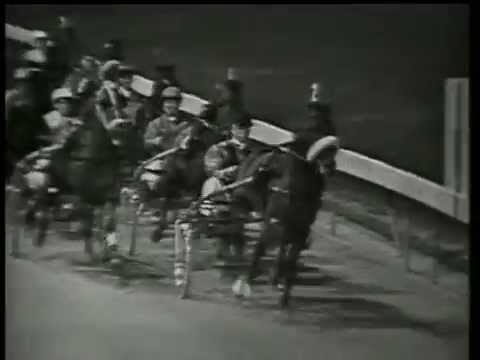 Harness Racing,Melbourne Showgrounds-07/03/1964 Inter-Dominion Grand Final (Minuteman-E.Hurley)