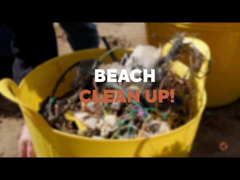 PAANI x Ocean Conservation Trust - UK Beach Clean Up