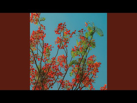 Larman Aku Bukan Siapa-siapa