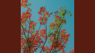 Download lagu Larman Aku Bukan Siapa-siapa mp3 Download lagu Larman Aku Bukan Siapa-siapa mp3