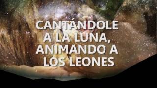 Zulu Lion - Amor De Leones (Video Lyrics) | URBANO507.com