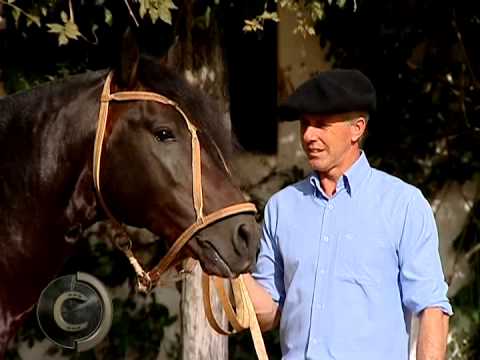 Cabanha Três Corações na Final da Morfologia e do Freio de Ouro 2015