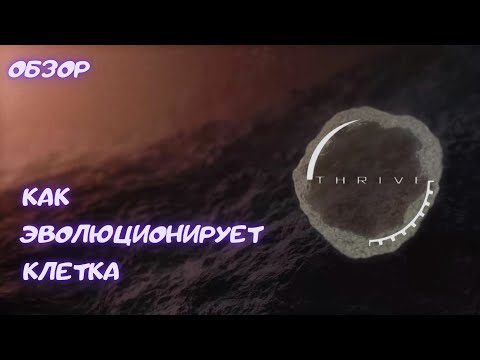 Просмотреть видео