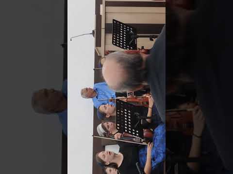 Sunt aici la dispoziția ta Orchestra Gura-Solcii