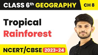 Class 6 Geography Chapter 8 | Tropical Rainforest - India: Climate, Vegetation and Wildlife
