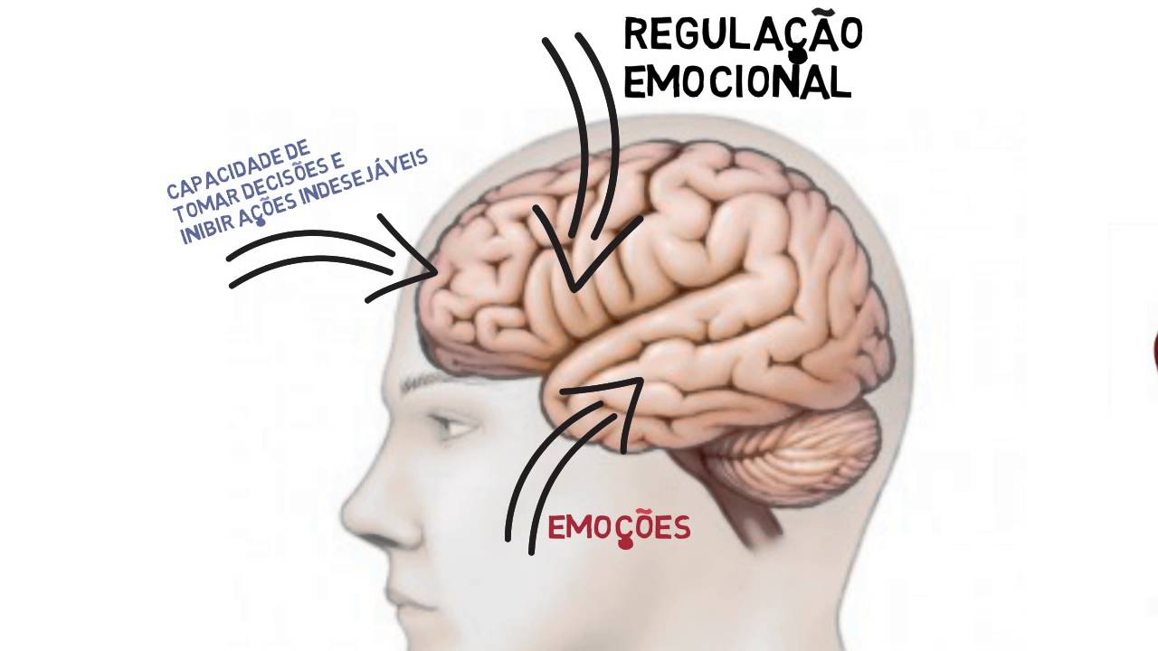 Mindfulness e o seu cérebro