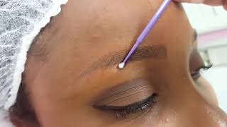 Microblading Eyebrows by El Truchan @ Perfect Definition