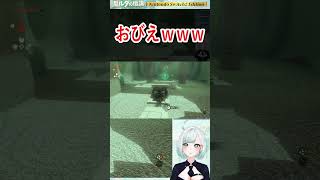 【ゼルダの伝説TotK】序盤に出てきていい装備じゃないだろ！(怯え)【切り抜き】　#shorts #vtuber