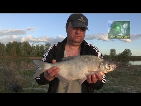 Lov i ribolov - Italija - Delta Poa - Deverika