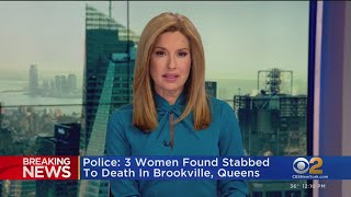 3 women found stabbed to death in Queens