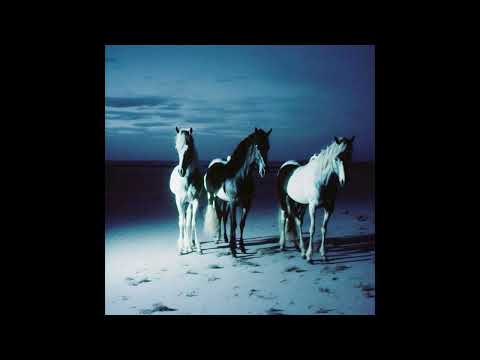 • FREE • TY DOLLA $IGN & DRAKE & TRAVIS SCOTT TYPE BEAT - HORSES (PROD. DIE FOR)