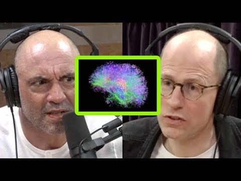 image-How does brain simulation work? 