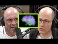 Nick Bostrom: Why Our Brains Themselves May Be Simulated