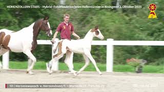 Vídeo de Großartig