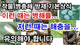 작물 병충해 방제 기본상식. 이런 때는 병해를... 저런 때는 해충을 유의해야 합니다.(농작물 병해충 방제 …