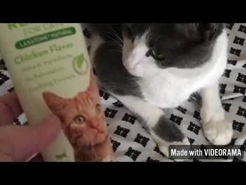 Tomlyn's NATURAL Hairball Remedy Review