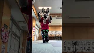 やってみた！
