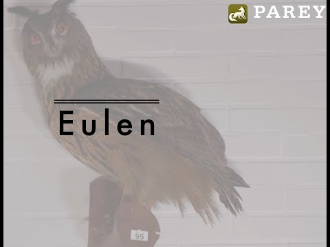 Parey Jagdausbildung - Prüfungssimulation Teil 14 - Eulen