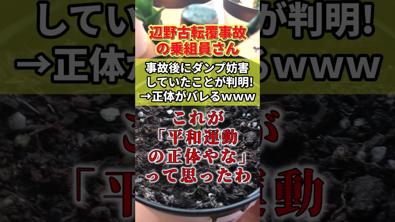 【衝撃】乗組員さん、事故後に辺野古土砂運搬のダンプ妨害が判明→批判殺到ｗｗｗ　#shorts