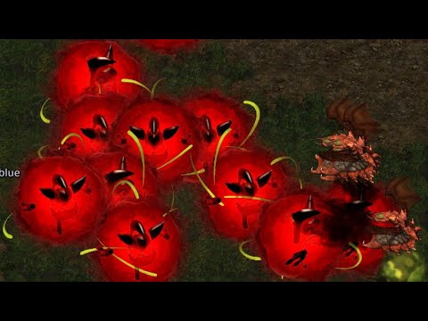 Sunday Stream! FME/UMS/FFA/Shenanigans! - StarCraft - Brood War