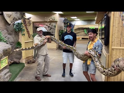 21 Foot Snake BITES Him!