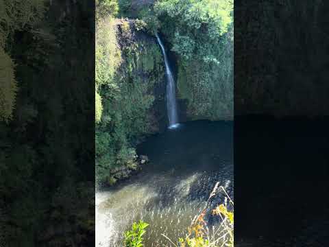 Salto Quino, Araucania 🇨🇱 #chile #naturaleza #travel #nature #araucania #aventura #traiguen